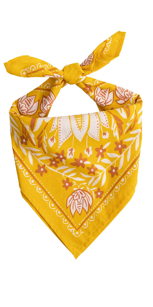 Solstice Bandana, golden hour