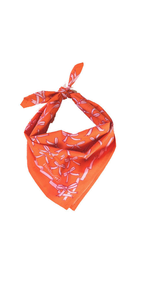 Cheerful Bows Bandana