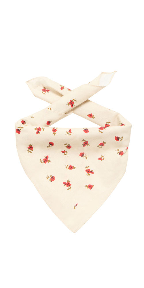 Ichi Rosey Scarf